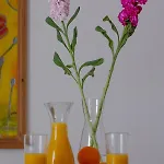 Bougainville House * Megalochori (Santorini)