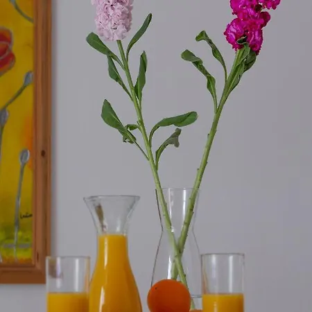 Bougainville House * Μεγαλοχώρι