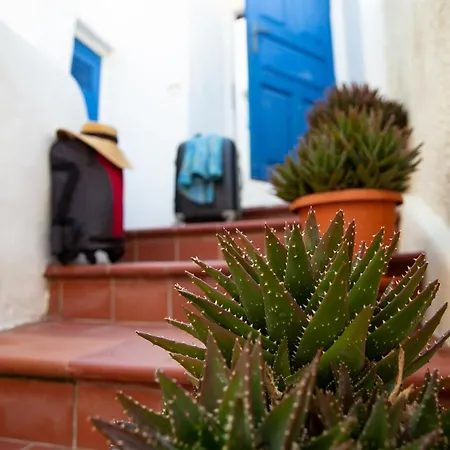 Σπίτι διακοπών Bougainville House *