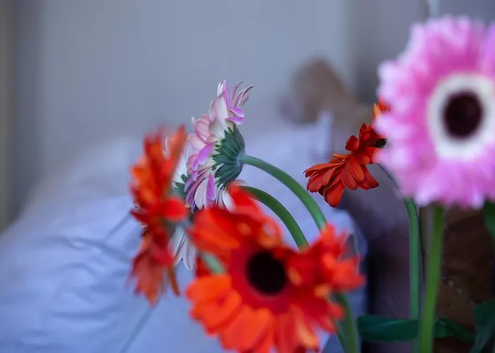 Nyaraló Bougainville House *