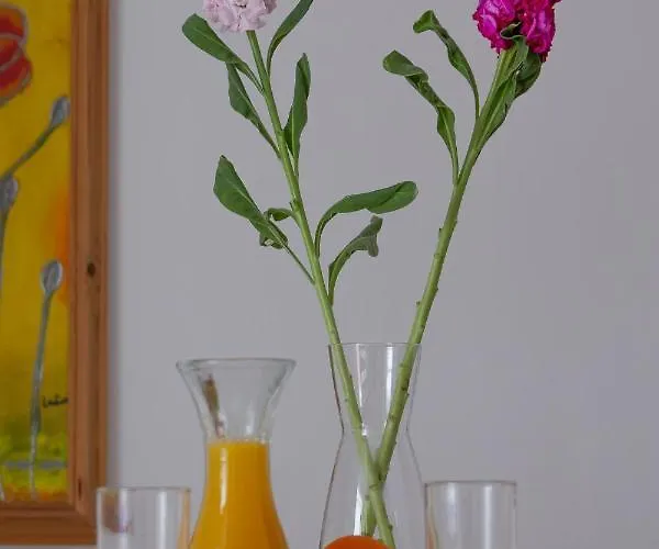 Bougainville House * Megalohóri