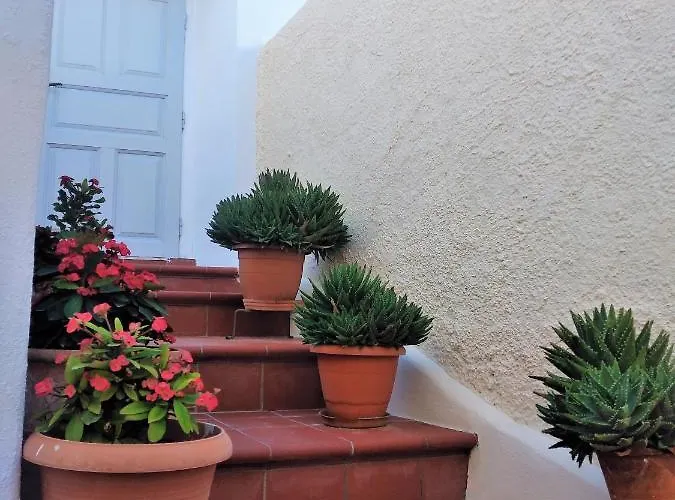 Casa vacanze Bougainville House